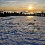 Jeleni Drevenice S Vlastni Virivkou *