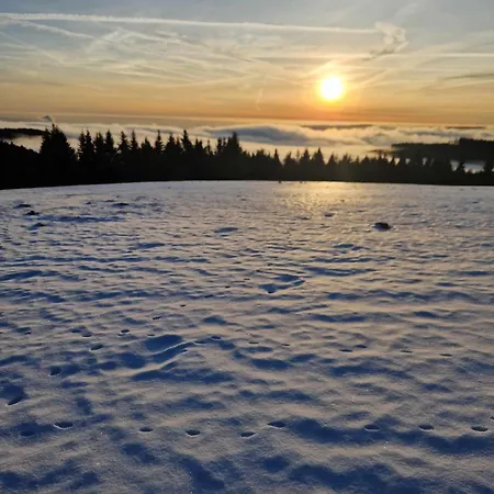 Jeleni Drevenice S Vlastni Virivkou *