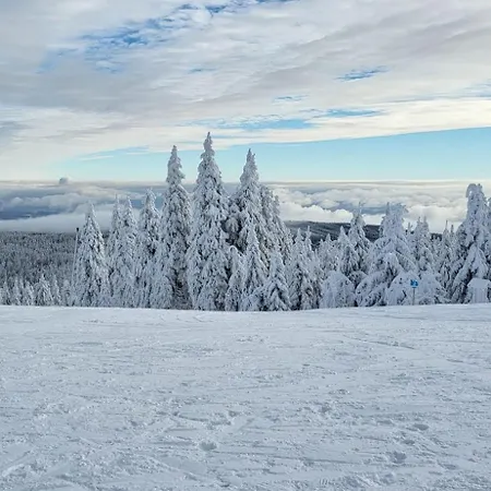 Jeleni Drevenice S Vlastni Virivkou Vakantiehuis *