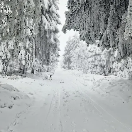 Jeleni Drevenice S Vlastni Virivkou Horni Halze